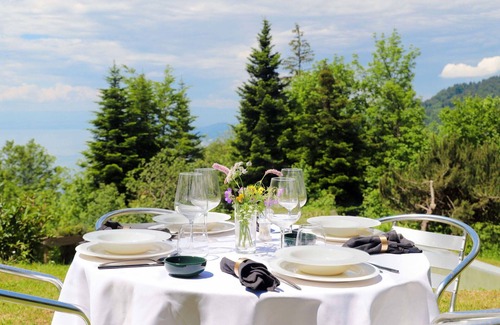 Caux House | Beautiful private villa for 5 guests with WIFI, TV, terrace, pets allowed and panoramic view