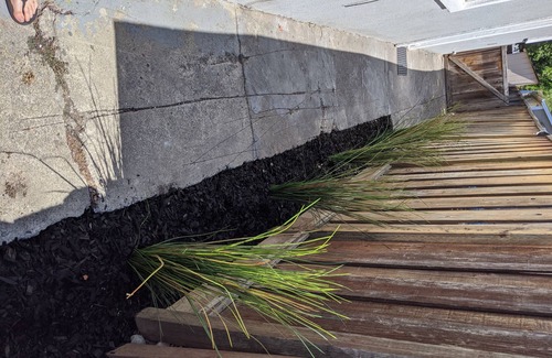 Redwood City Apartment | Beautiful quite studio, 100% private