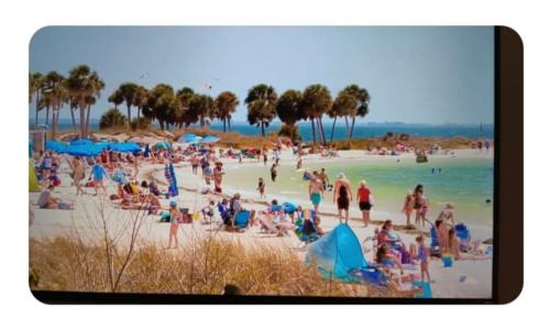 Tarpon Springs Apartment | Beautiful Room close to the benches