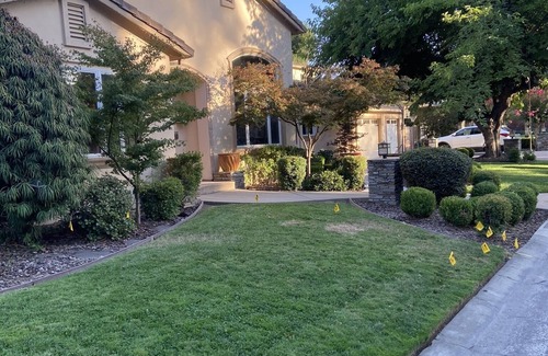 Sierra Oaks House | Beautiful Sierra Oaks Home - Perfect for Families