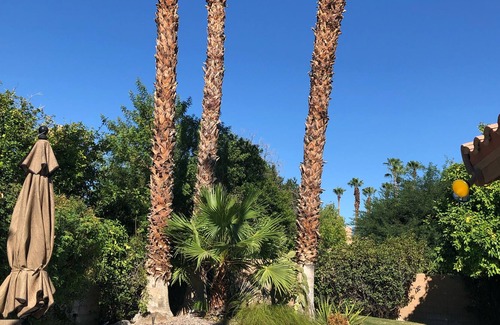 Palm Desert House | Beautiful spacious 3 bedroom, 2 1/2 bathroom home with private pool and spa.