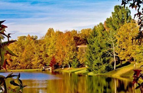 Fairfield Glade Apartment | Beautiful studio unit at resort, sleeps 2