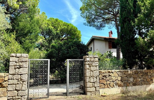 Cala Liberotto Villa | Beautiful villa in a pine-wood 150 m from a white sandy beach