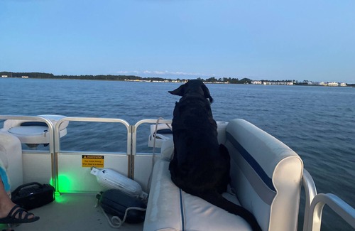 Cedar Neck House | Beautiful waterfront 5br/2banOptional boat rental