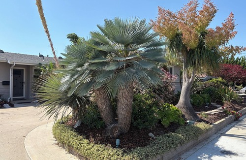Clairemont House | Beautifully landscaped 3-BR/2BA house. centrally located/beaches,downtown+more