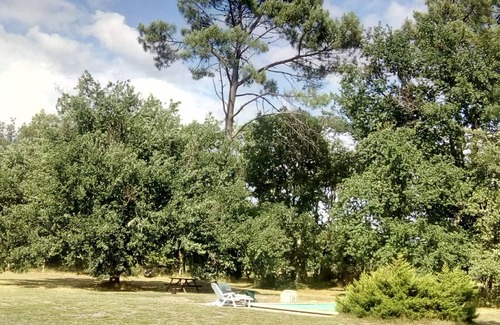 Pinderes Other | Beautifully restored farmhouse. Private clearing in the forest. Pool. Sleeps 9