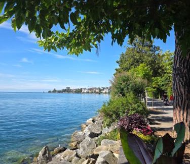 Montreux City Centre Apartment | Beauty apart a centre de Montreux