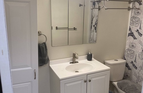 North Star Apartment | Beauty one-bedroom apartment mins for downtown. In mid-town