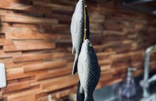 Zaandam Bed & Breakfast | Bed and Breakfast Cherry