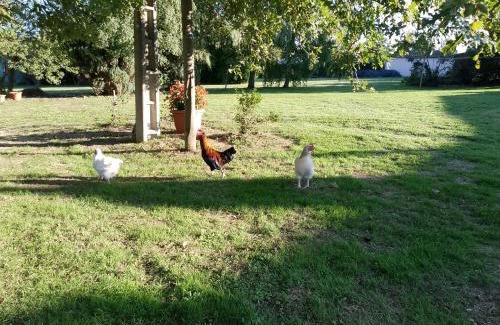 Busserolles Bed & Breakfast | Bed and Cèpes