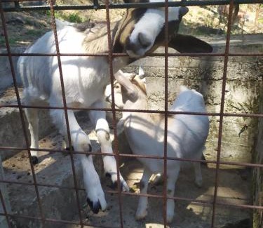 Casarza Ligure Bed & Breakfast | Bed & Breakfast Lujocanda