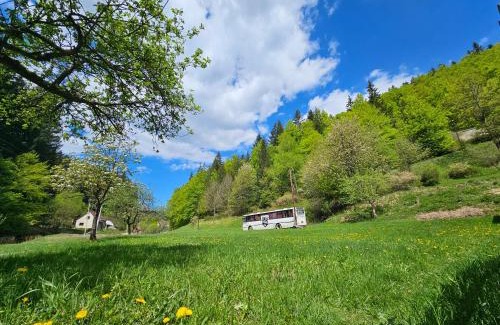 Kolarovice Other | Bed in Bus
