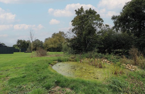 South Luffenham Cottage | Bee Hive