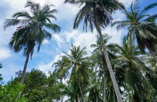 Wok Tum House | Behind The Temple Island Eco-Bungalow 15min Walk To Hin Kong Beach