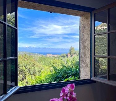 Santa-Reparata-di-Balagna Apartment | Bel appartement proche du centre ville