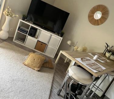 Saint-Martin-de-Seignanx Apartment | Bel appartement