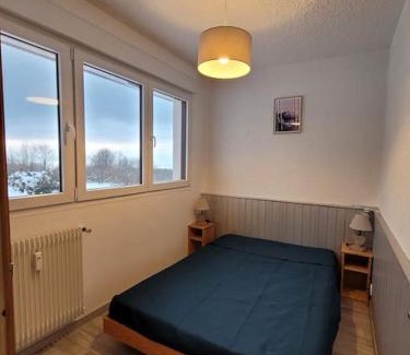 Thollon-les-Memises Apartment | Bel appartement entre lac et montagne