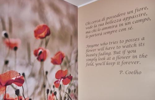 Porto Hotel | Belfiore Park Hotel 4Stars Superior "Adults Only"