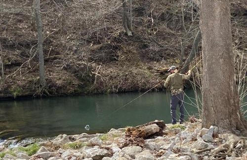 Eagle Rock House | Belle Cottage