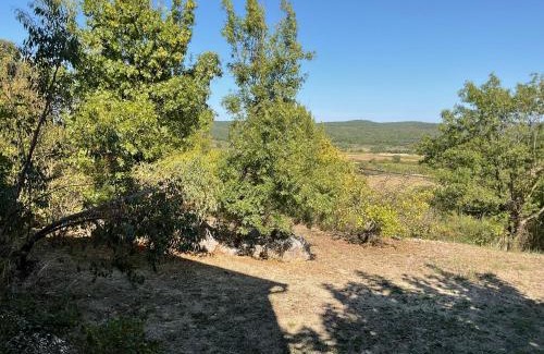 La Boissiere House | Bellevue 2