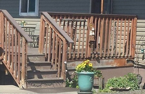 Homer Cabin | Beluga Lake Lodge