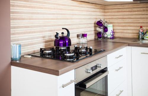 Naleczow Apartment | Belweder