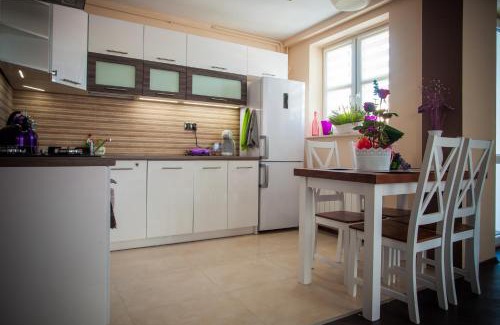 Naleczow Apartment | Belweder