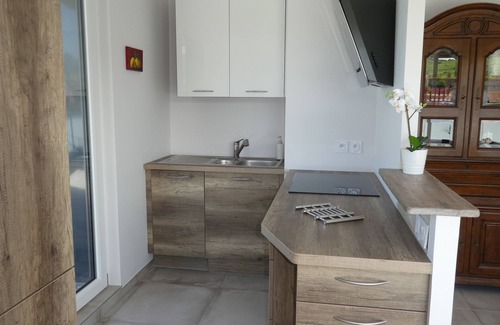 Bennwihr Apartment | BENNWIHR-ALSACE ▶️entre Riquewihr and Kaysersberg near COLMAR 🎄PROMO NOËL