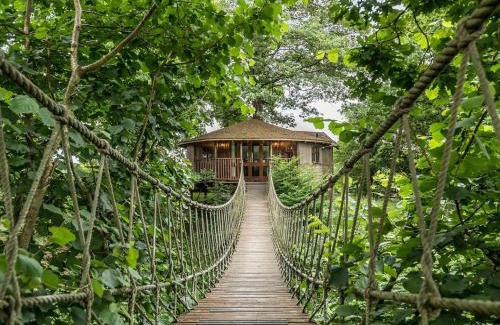 Wadhurst House | Bensfield Treehouse