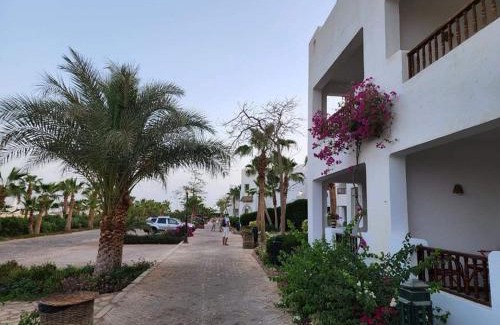 El Hadaba Apartment | Best studio in Delta Sharm