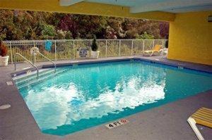Ladson Hotel | Best Western Magnolia Inn and Suites