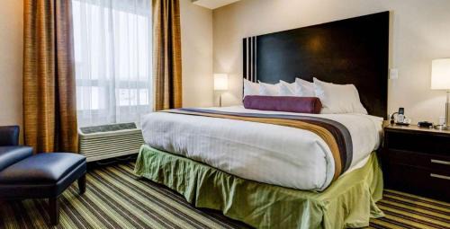 Drayton Valley Hotel | Best Western Plus Drayton Valley