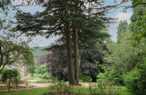 Calver Cottage | BETHANY A, with a garden in Calver