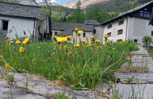 Bosco Gurin Ski Chalet | Between sky and forest - romantic chalet in nature