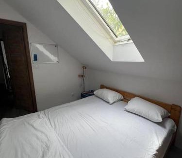 Pradnik Czerwony Apartment | Big attic apartment near Tauron Arena