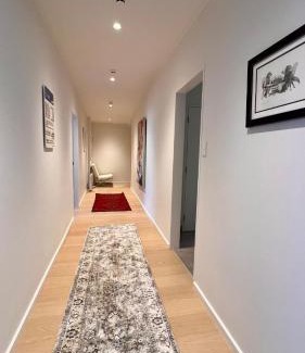 Te Aro Apartment | Big Penthouse, Bigger Balcony