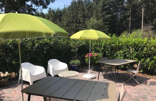 Garderen Bed & Breakfast | Bij Zelle
