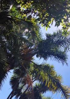 Kempton Park House | Birch stay