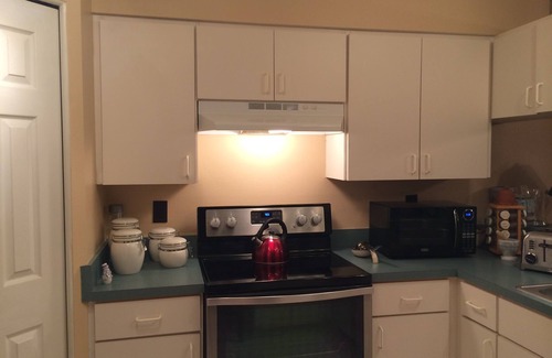 Vamo House | Bird Lovers & Fishermen this is your ticket to Paradise