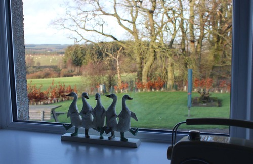 Jedburgh Cottage | Birds Nest