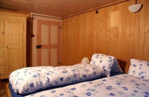 Mitloedi Other | bison