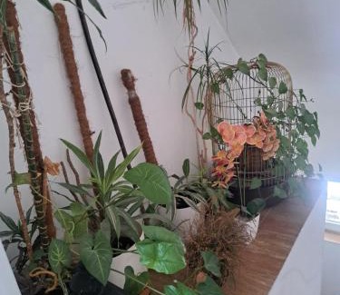 gmina Sadowne House | bizon