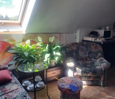 gmina Sadowne House | bizon