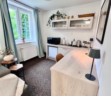 Banska Bystrica Apartment | BL - The Townhouse, 24hr Self Check-in, Free Private Parking, Garden, Adjacent to beautiful City Park, City Centre 5 min walk