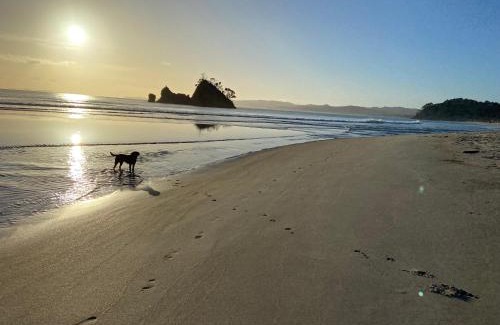 Whangapoua House | Bliss on the Beach - Whangapoua