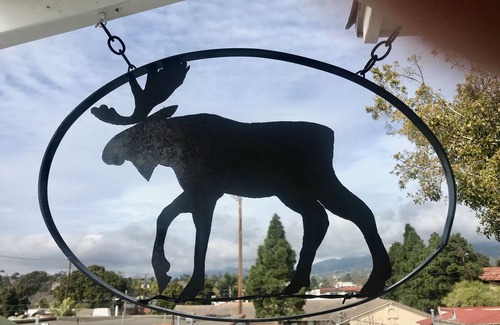 Oak Park Apartment | Blue Bungalue@The Whiskey Hotel, a Funky Penthouse