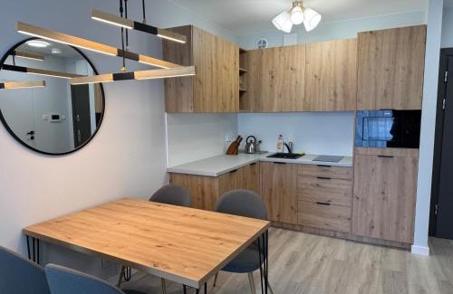 Dzielnica Uzdrowiskowa Apartment | Blue Coast Apartment