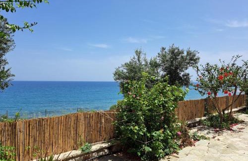 Aipeia House | Blue Fox 1