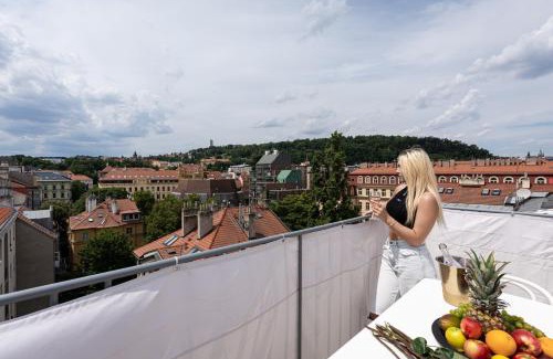 Smichov Apartment | Blue Sky Residence
