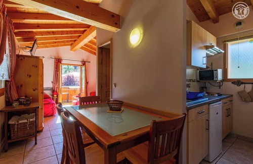 Landry House | BLUE THISTLE - ROCK THISTLE